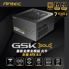 Antec GSK Fully Modular PSU 電源供應器(黑色-850W-80+ Gold-ATX3.1)