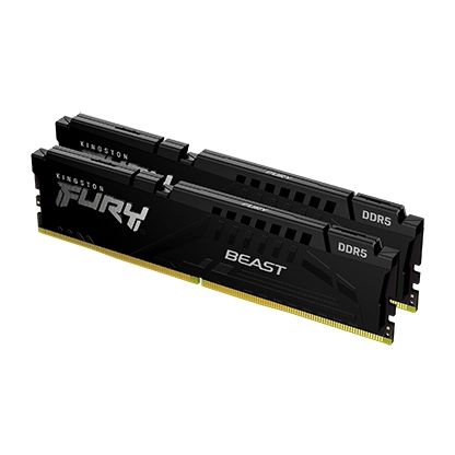 Kingston FURY Beast DDR5 32GB (16GB x 2) 5600MHz CL36 (KF556C36BBEK2-32)