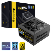 Segotep 鑫谷 850W GM850W Power Supply（ATX3.1/PCIe5.1）