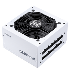 Segotep 鑫谷 850W GM850W White Power Supply 冰山版（ ATX3.1/PCIe5.1）